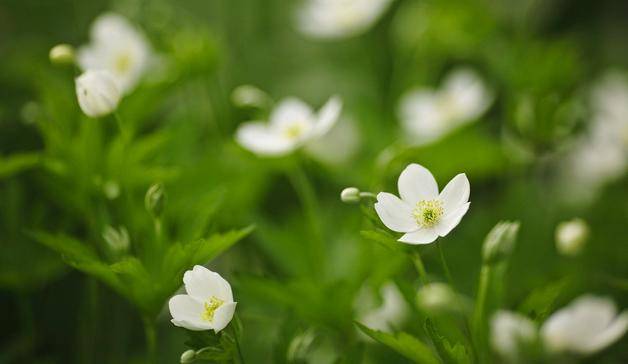 BJL平台-
女生喜欢上男生之后 会给你们的一些表示(图4)