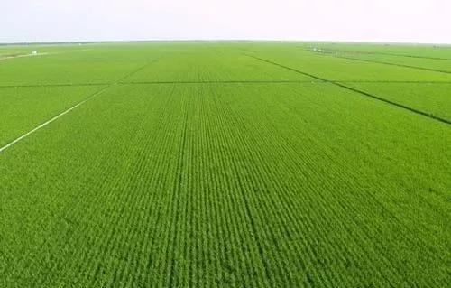 吴磊的“耐克鞋”引领新潮,曝光价钱后,瞬间成学生党最爱“BJL平台官网”(图2) BJL平台官网