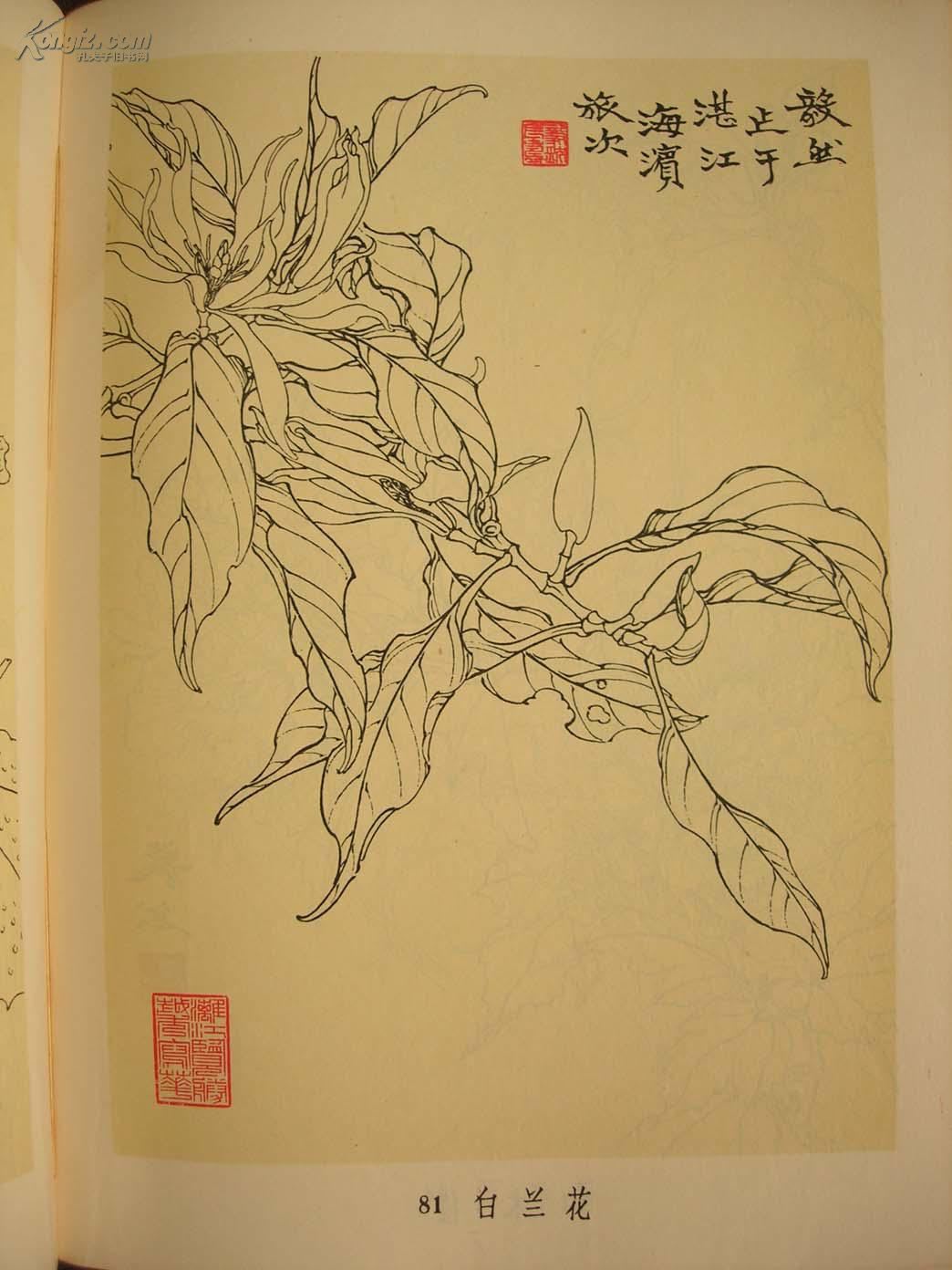 BJL平台