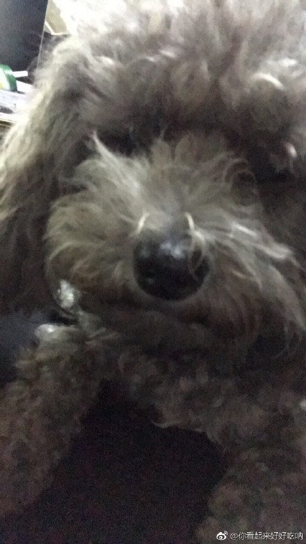 BJL平台